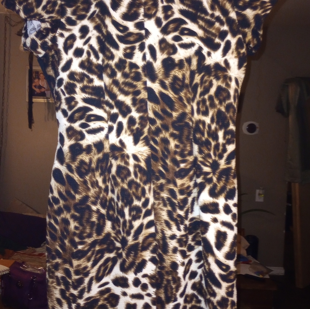 Dress - Picture 2 of 2